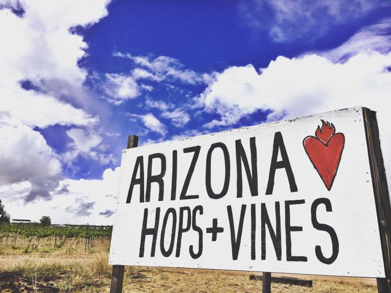 Saturday, September 9 — Stomp some grapes in Sonoita